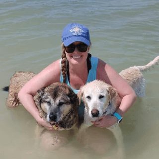 A Day in the Life - Lisa Cover Photo